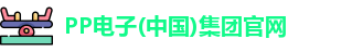 pp电子
